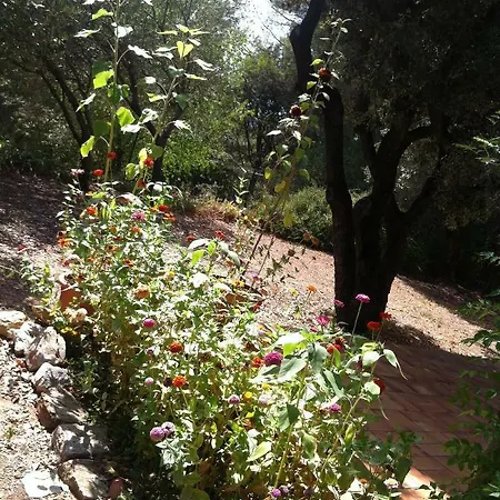 Le Niaouli Bed & Breakfast *